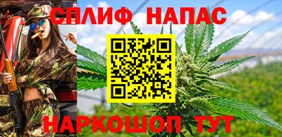 дмт Краснодар