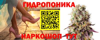 дмт Краснодар