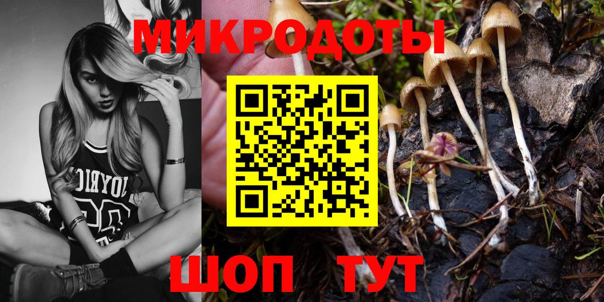Галлюциногенные грибы Cubensis  Вход с VPN  Йошкар-Ола 