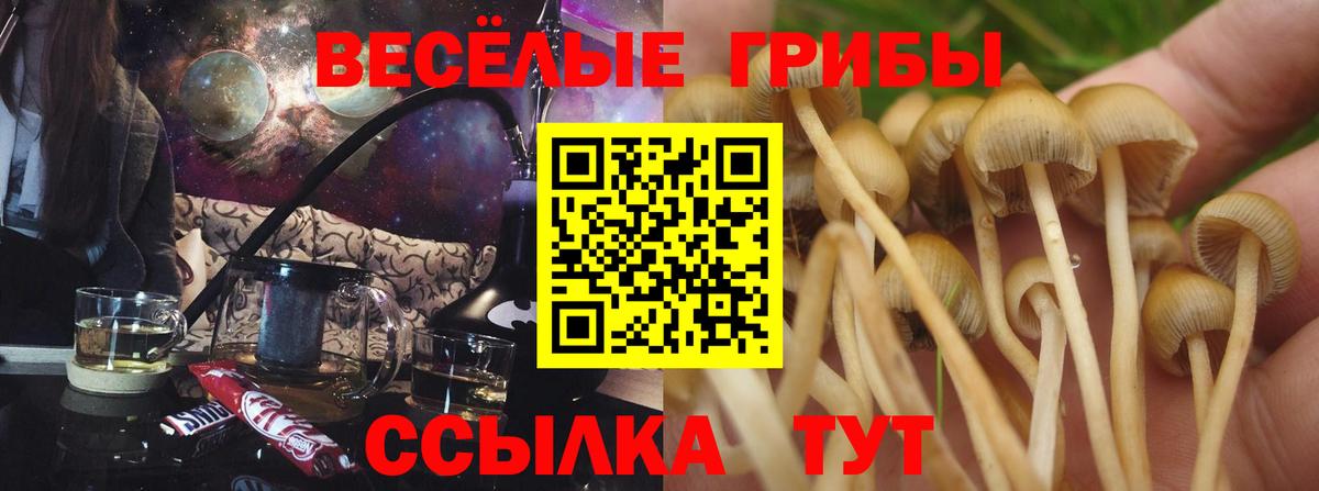 КЕТАМИН  Конопля  Вход с VPN  КОКАИН  ГАШ  Альфа ПВП СОЛЬ   Экстази  МЕФ  Йошкар-Ола  Меф МЯУ МЯУ кристаллы  LSD-25 