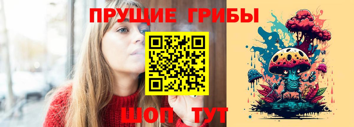Псилоцибиновые грибы Cubensis Йошкар-Ола